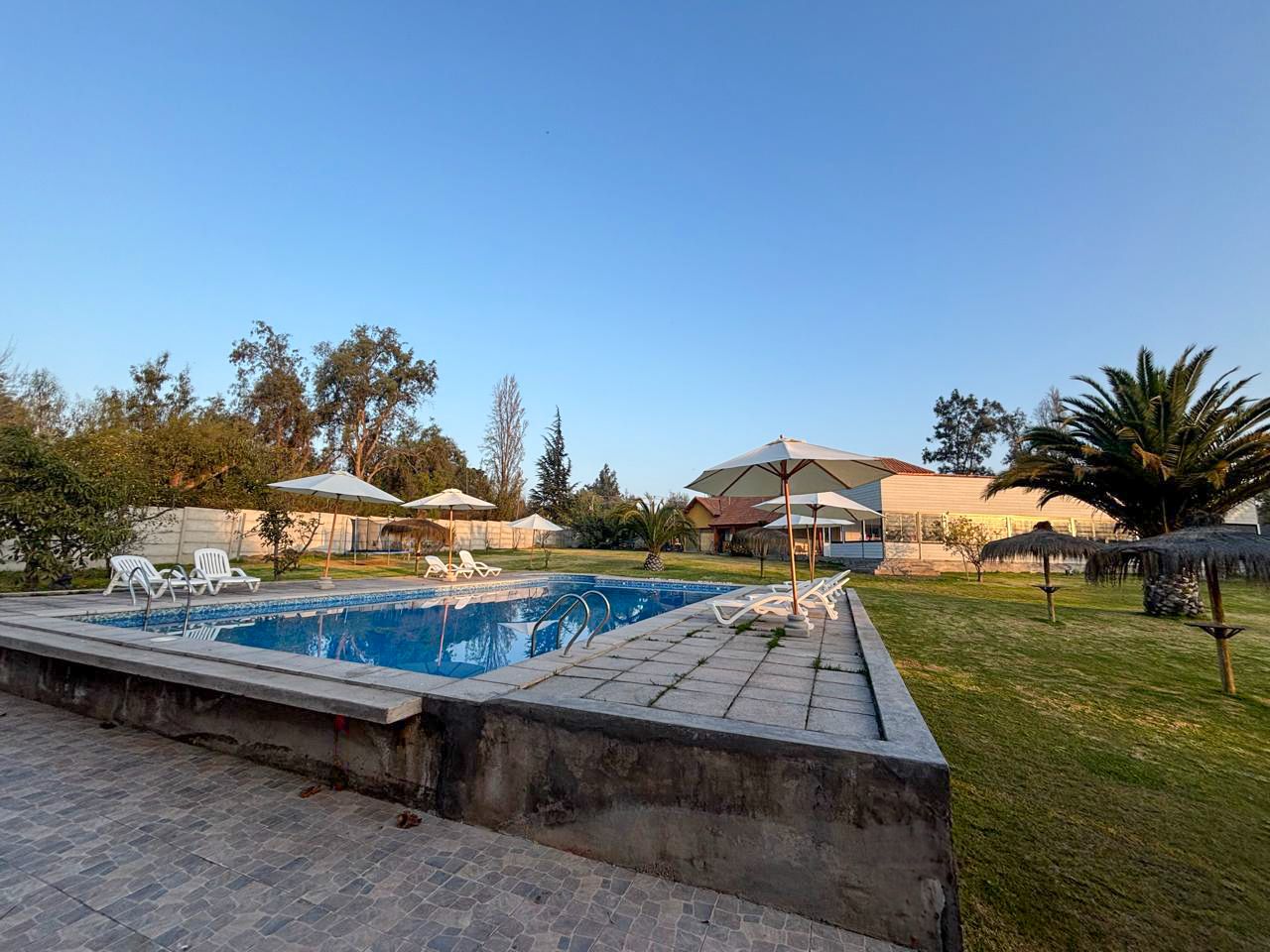 WhatsApp Image 2025-06-12 at 20.51.39 (1)