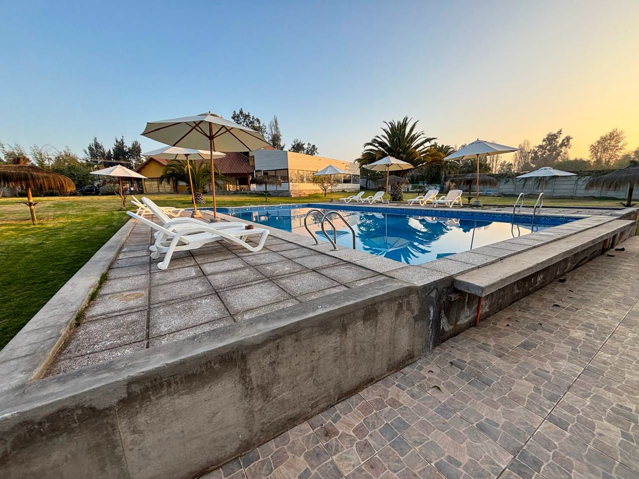 WhatsApp Image 2025-06-12 at 20.51.39