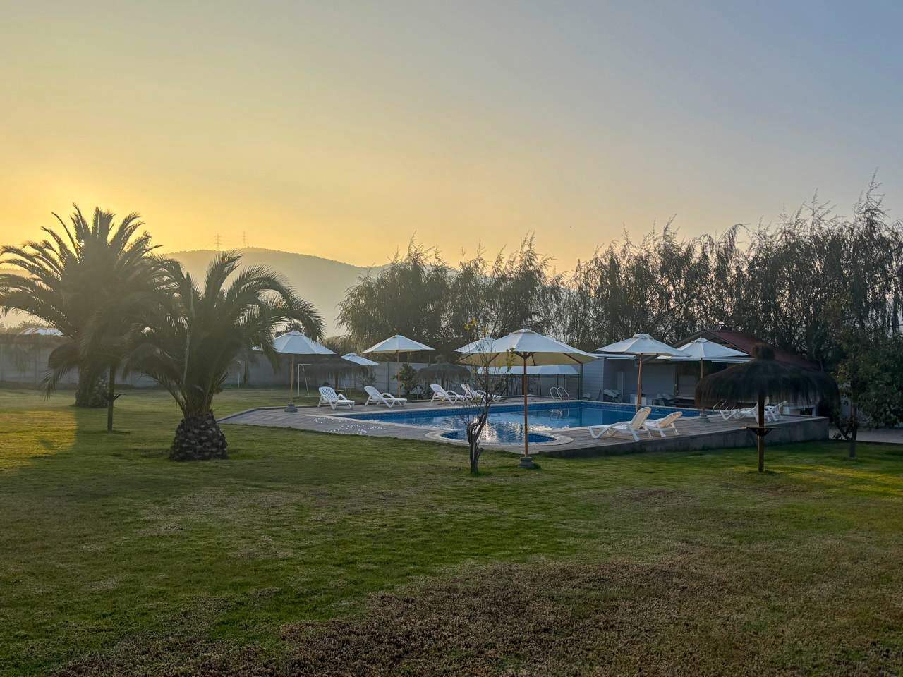 WhatsApp Image 2025-06-12 at 20.51.40